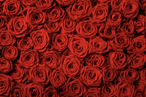 Charmaine Dela Rosa @delarosax cover picture