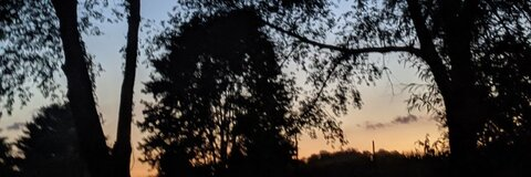 Zoe 🌸🍃 @deliriousbiz cover picture