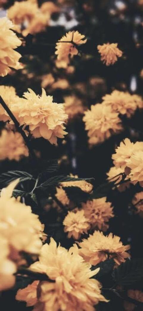 Recovering cake addict @delore cover picture