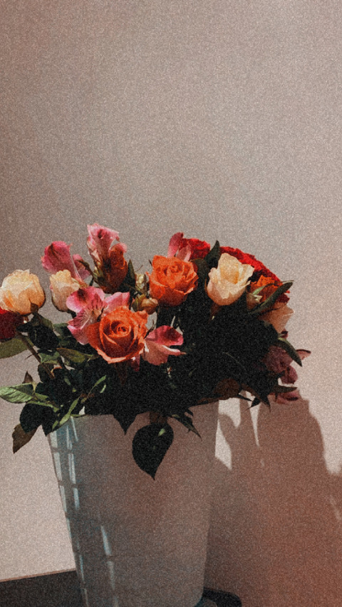 miss Demetrix @demetrixxx cover picture