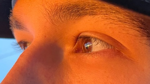 Demon2Society @demon2society cover picture