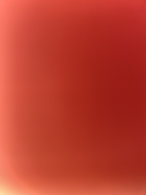 Denise @denisek cover picture