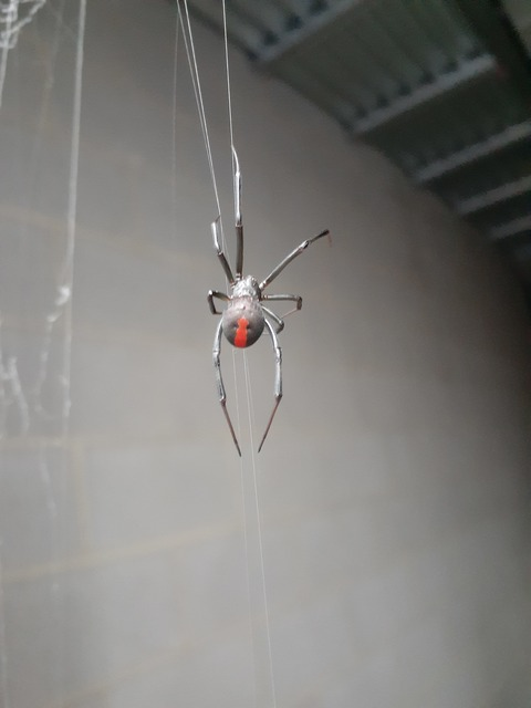 Russ24780 @dexter24780 cover picture