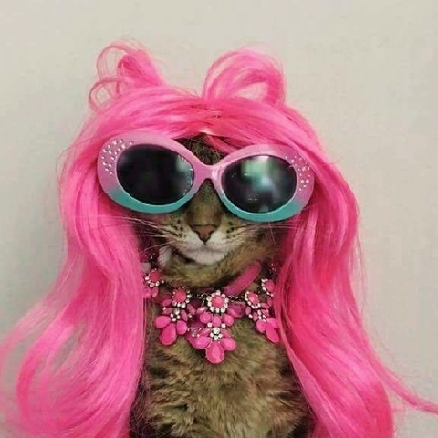 Ro Rojas @diablorose cover picture