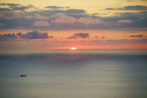 La LLaLLi @diabolustnaia cover picture