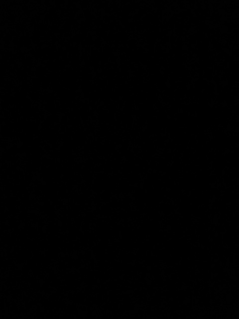 diana @dianaxx cover picture