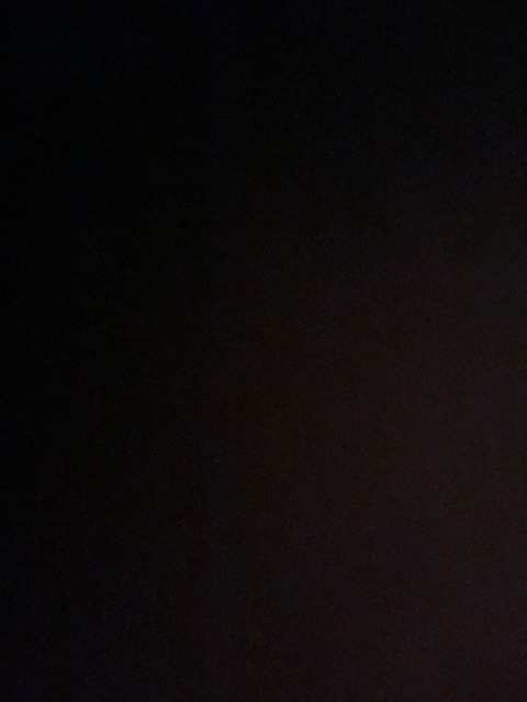 Dick pics &amp; videos @dickpics2022 cover picture