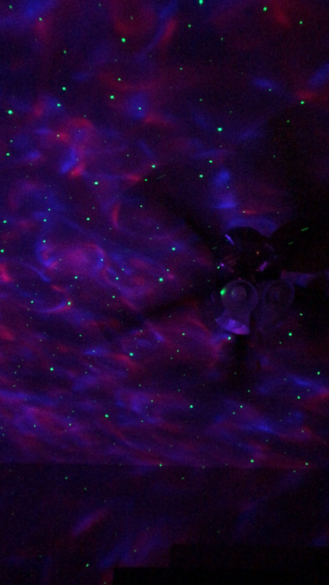 Difficult Bee @difficult_bee43 cover picture