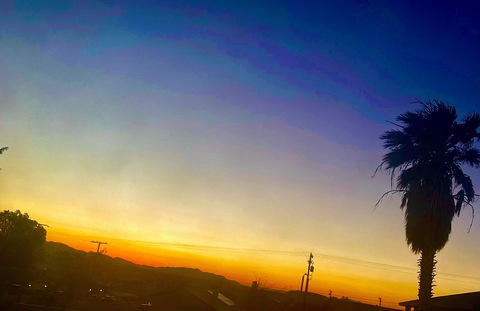 Loveable @dinosaurgreens cover picture