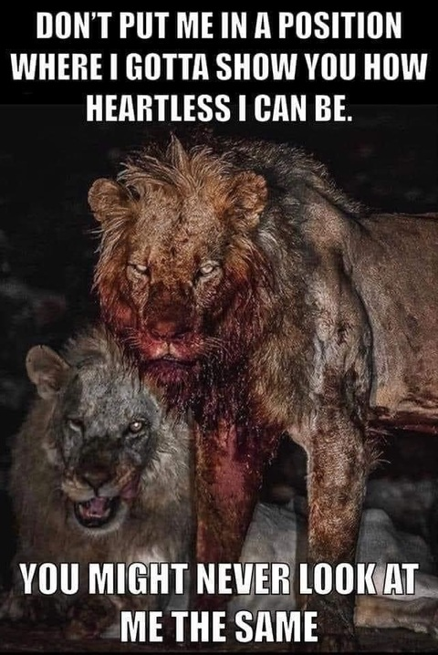 Jason @dirtybullrider cover picture