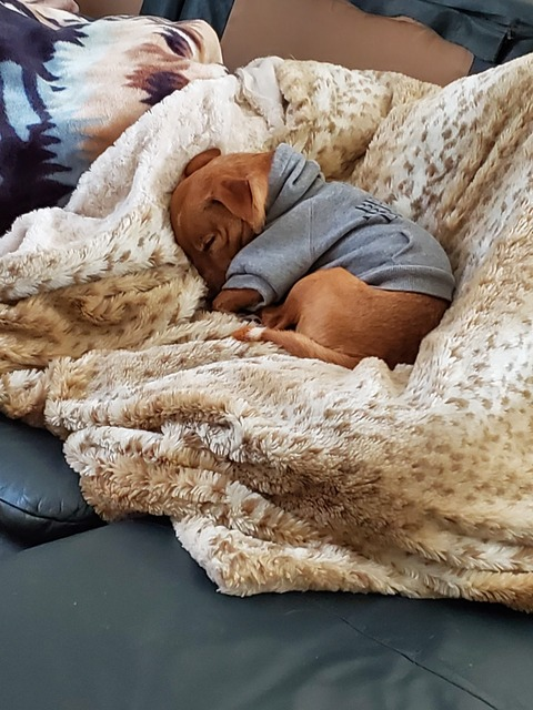 Lionel Gomez @divin326 cover picture