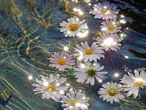 DJ Doll Articulée @djdollarticulee cover picture