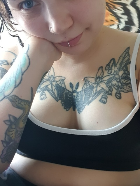 Tammy Faye @domestictammy cover picture