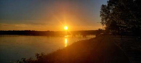 Domguy8536 @domguy8536 cover picture