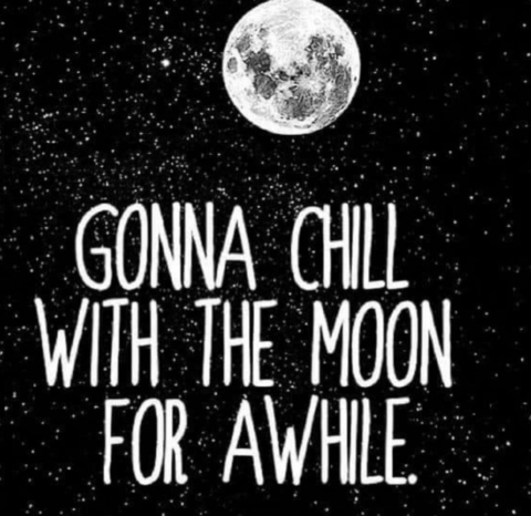 u64485658 @doodlebug420 cover picture