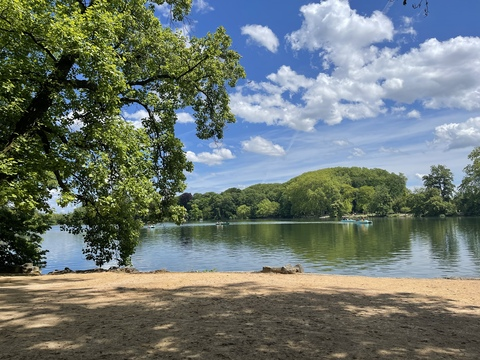 Doriane @doriane cover picture