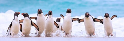 Doreen @dorihihine cover picture