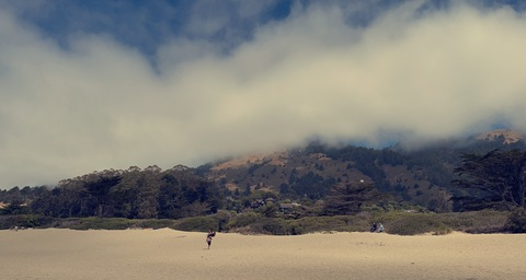 😈 @dotray630 cover picture