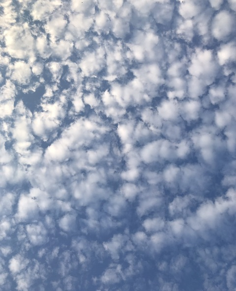 Mindyabusiness @drdimebag cover picture