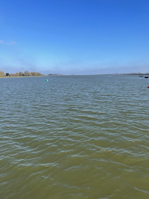 Dan @dreaming cover picture