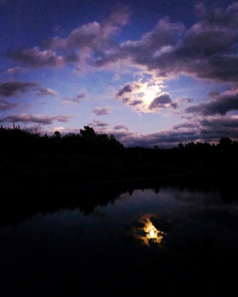 Drewverse @drewverse cover picture