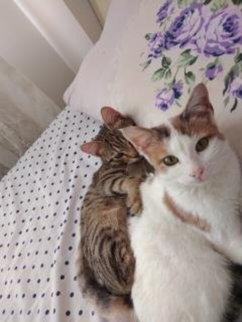 Hellyess @drhard cover picture