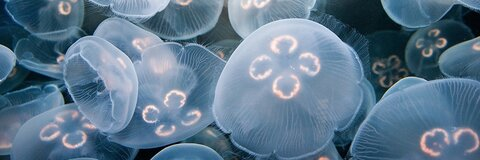 TING @durt_cobain cover picture