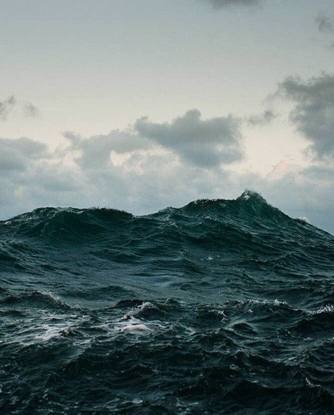 daniel @dxnphrodite cover picture