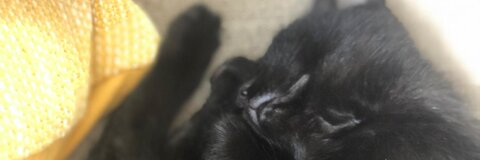 Dillybob @dylanbond cover picture