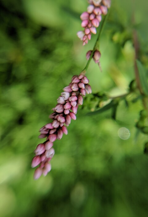 Ben @easyasabc cover picture