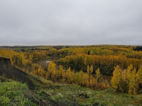 Pistil Pete @ei8htinchgrinch cover picture