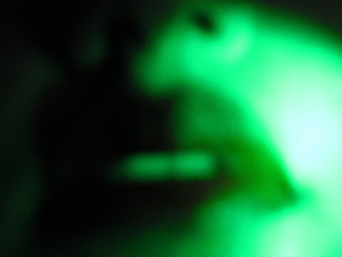 Katarina @ekaterin cover picture