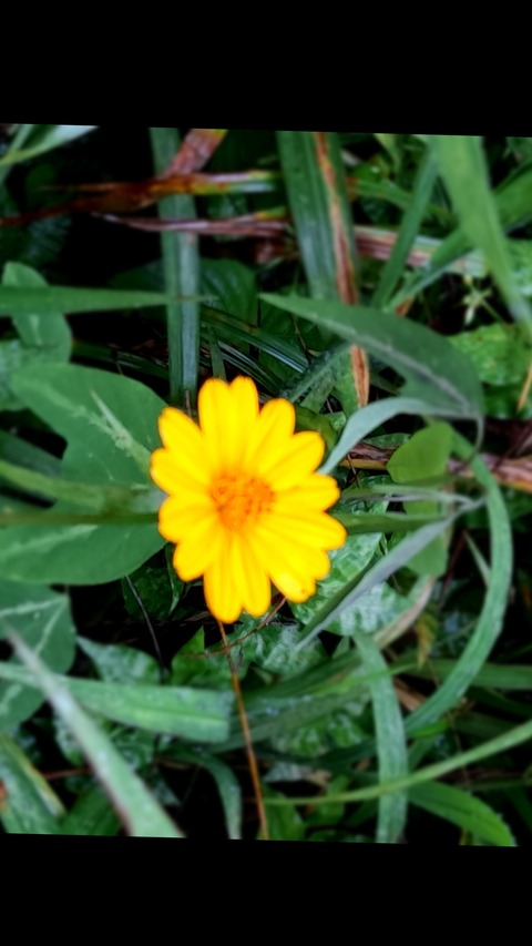 Eleina @eli.a cover picture