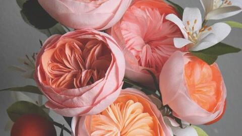 Elizadushku @elizadushku cover picture