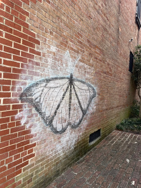 ella baby🤍 @ellaboo12 cover picture