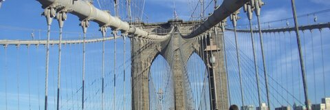 elleccapo @elleccapo cover picture