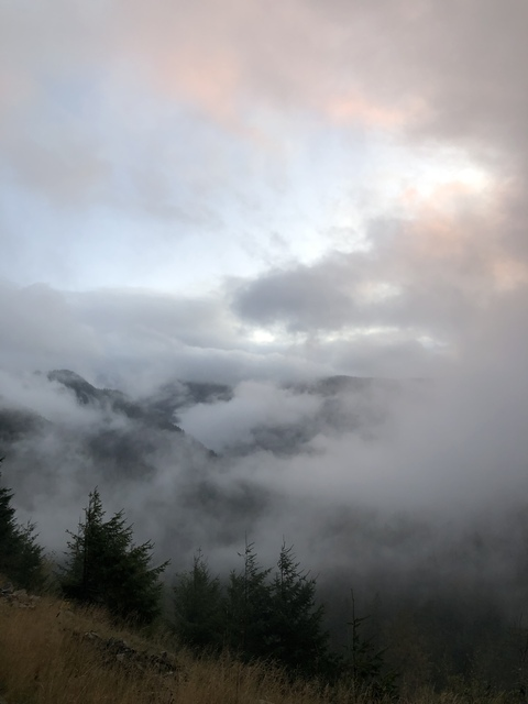 Ell @ellshaus cover picture