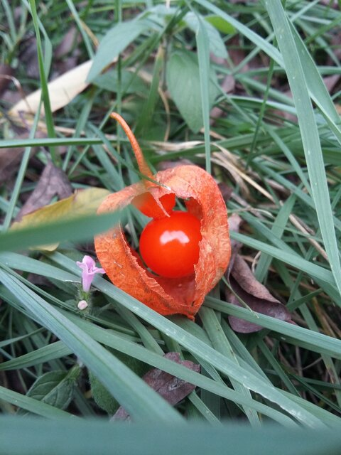 Whiiiii @email cover picture