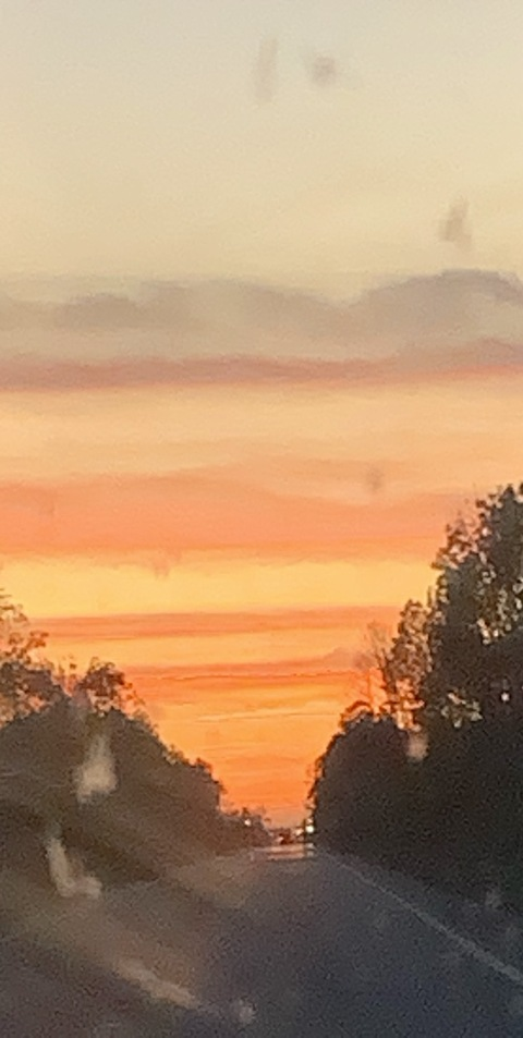 EmberLynn @emberlynn cover picture