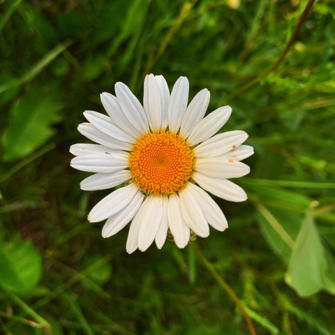 Emerald BB @emerald_bb cover picture