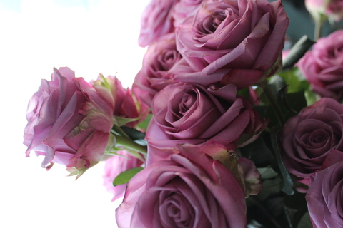 Emillia ✩ @emillia cover picture