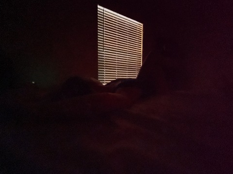 Emily Felt @emilyfelt cover picture