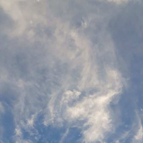 Emily Paterson @emilypaterson cover picture