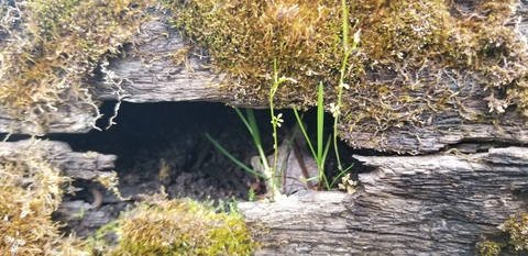 EnergizerHunny @energizerhunny cover picture