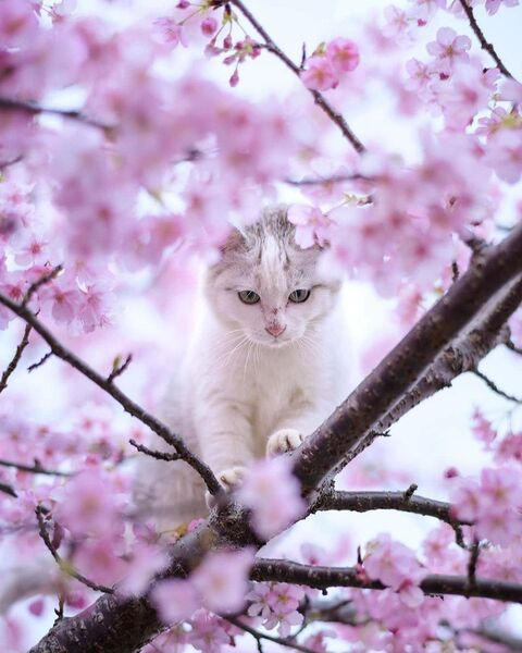 s @ensure cover picture