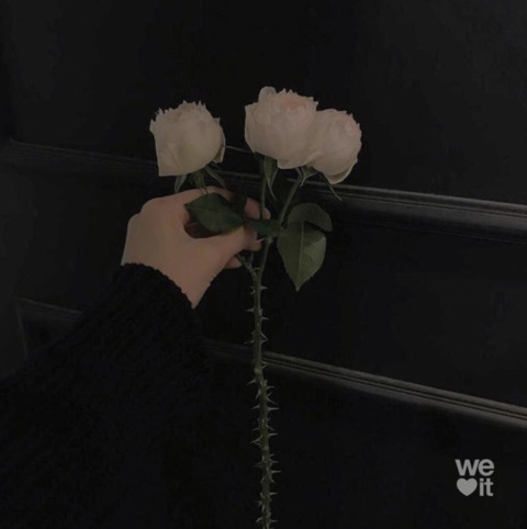 nnex @entire cover picture