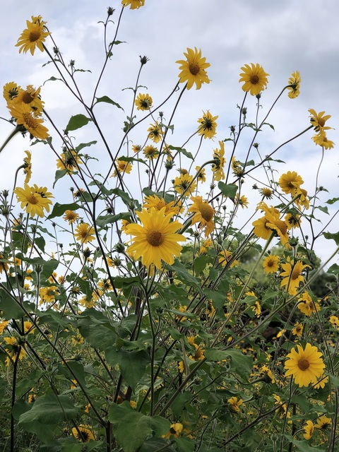 Erandi Morales @eranmo cover picture