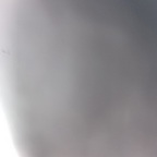 erharda Profile Picture