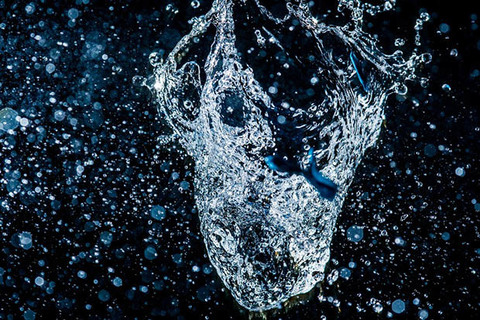 Erica @ericaspice cover picture