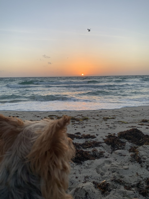 EMoney @erikatown cover picture